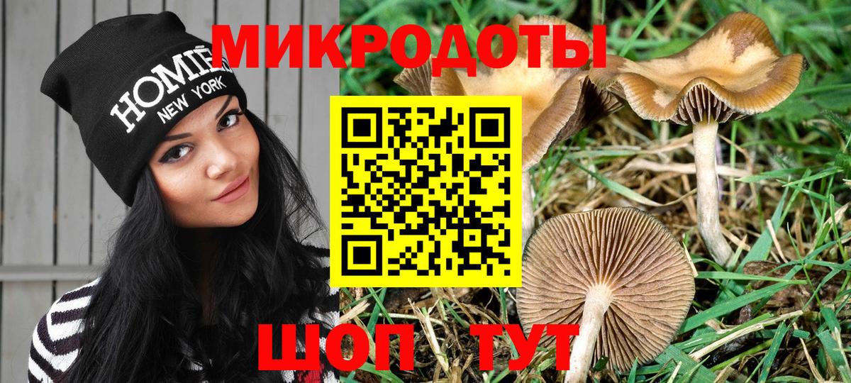 Псилоцибиновые грибы Psilocybine cubensis Губаха